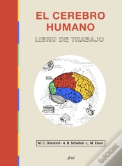 Capa do artigo El Cerebro Humano