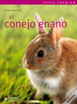 Capa do artigo El Conejo Enano