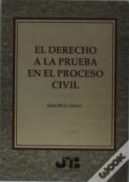 El Derecho A La Prueba En El Proceso Civil.