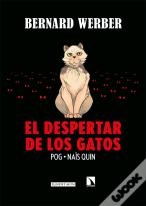 El Despertar De Los Gatos
