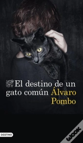 El Destino De Un Gato Común