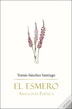 Capa do artigo El Esmero
