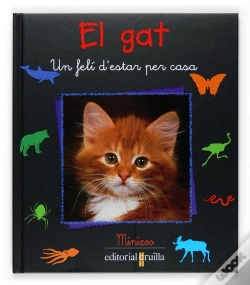 Capa do artigo El Gat
