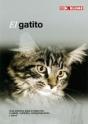 El Gatito - Preview