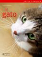 El Gato - Preview