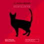 El Gato Negro - Preview