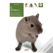 Capa do artigo El Gerbillo
