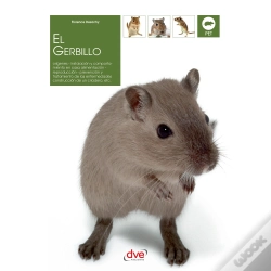 Capa do artigo El Gerbillo