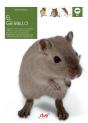 El Gerbillo - Preview