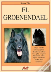 Capa do artigo El Groenendael