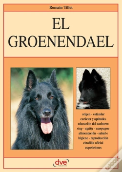 Capa do artigo El Groenendael