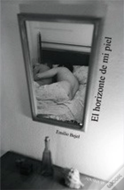 Capa do artigo El Horizonte De Mi Piel