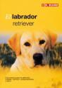 El Labrador Retriever - Preview