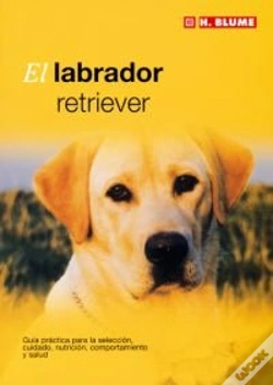 Capa do artigo El Labrador Retriever