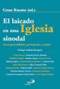 El Laicado En Una Iglesia Sinodal - Preview