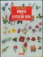El Libro De Bordar Con Cintas De Seda - Preview
