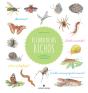 El Libro De Los Bichos - Preview