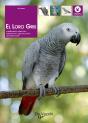 El Loro Gris - Preview