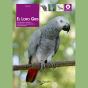 El Loro Gris - Preview
