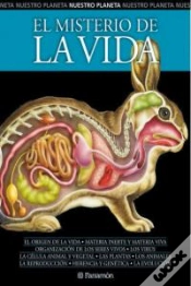 Capa do artigo El Misterio De La Vida