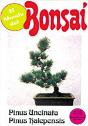 El Mundo Del Bonsai - Preview