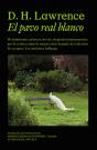 El Pavo Real Blanco - Preview