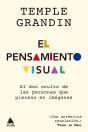 El Pensamiento Visual - Preview