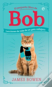 Capa do artigo El Pequeño Libro De Bob