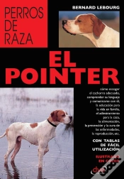 Capa do artigo El Pointer