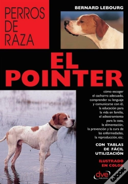 Capa do artigo El Pointer