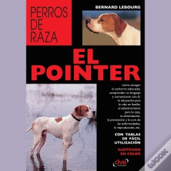 Capa do artigo El Pointer