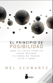 Capa do artigo El Principio De Posibilidad