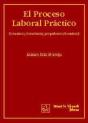 El Proceso Laboral Practico - Preview