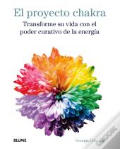 El Proyecto Chakra