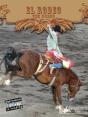 El Rodeo (The Rodeo) - Preview
