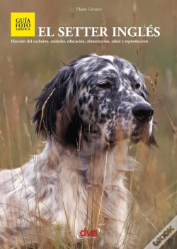 Capa do artigo El Setter Ingles