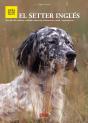El Setter Ingles - Preview