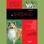 El Shetland - Preview