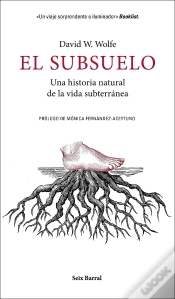 Capa do artigo El Subsuelo