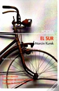 Capa do artigo El Sur