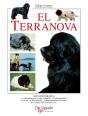 El Terranova - Preview