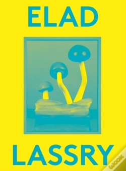 Capa do artigo Elad Lassry