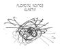 Elaenia - Vinil - Preview