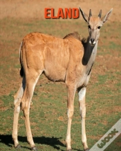 Capa do artigo Eland