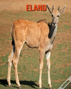 Capa do artigo Eland