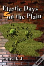 Capa do artigo Elastic Days On The Plain