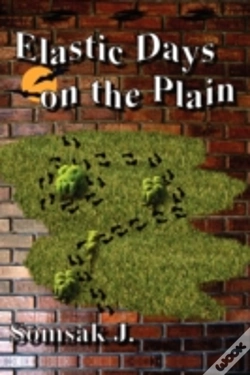 Capa do artigo Elastic Days On The Plain