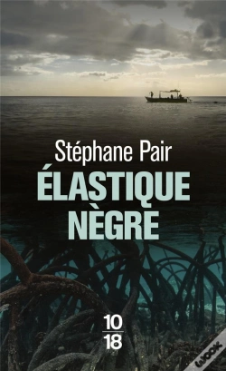 Capa do artigo Élastique Nègre