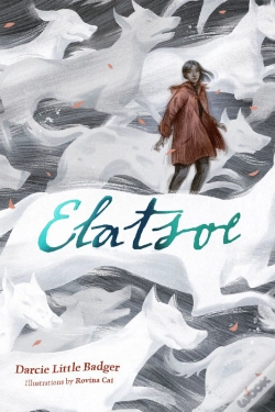 Capa do artigo Elatsoe