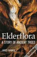 Elderflora